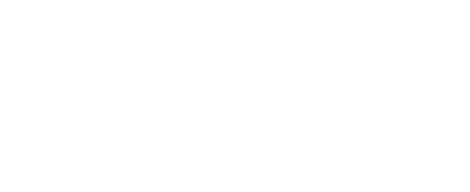 MAZZ exclusive bags